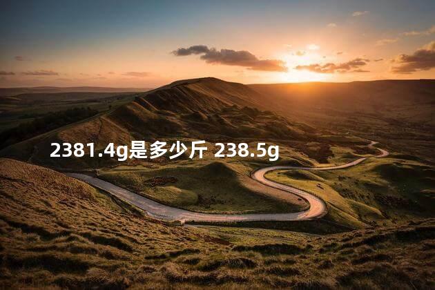 2381.4g是多少斤 238.5g等于多少mb
